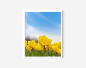 Yellow Tulips, Yellow and Blue, Spring Floral Wall Art, Yellow Wall Art, Country Chic, Spring Art Print, Nursery Wall Art