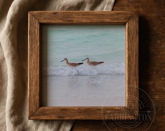 Florida Beach Print | Coastal Photography 4x4 (Mini Print) | Beach Wall Art | Florida Gulf Beach Decor | Bird Photography