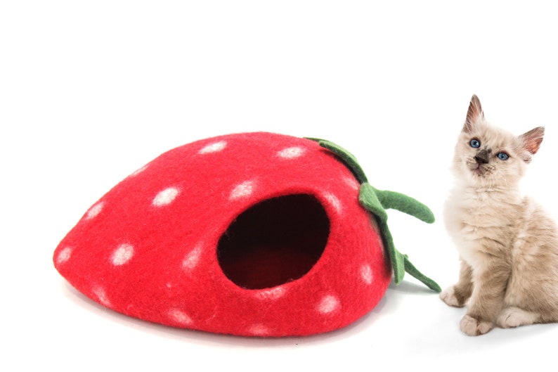 handmade strawberry cat bed