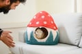 Mushroom Felt Cat Cave -  Handmade Modern Pet Bedding- Wool Pet Bed - Free Shipping product logo