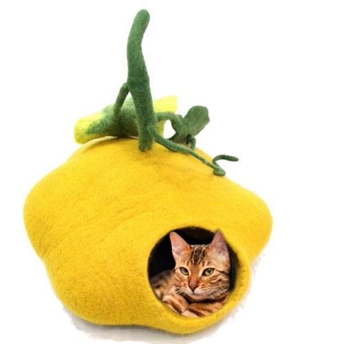 Cat Bed Pet Bed Cat House Cat Furniture Cat Cave Wool Cat Etsy