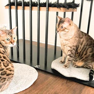 May include: Two brown tabby cats sitting on gray platforms. The cats are looking in different directions. The platforms are attached to a black metal cat tree.