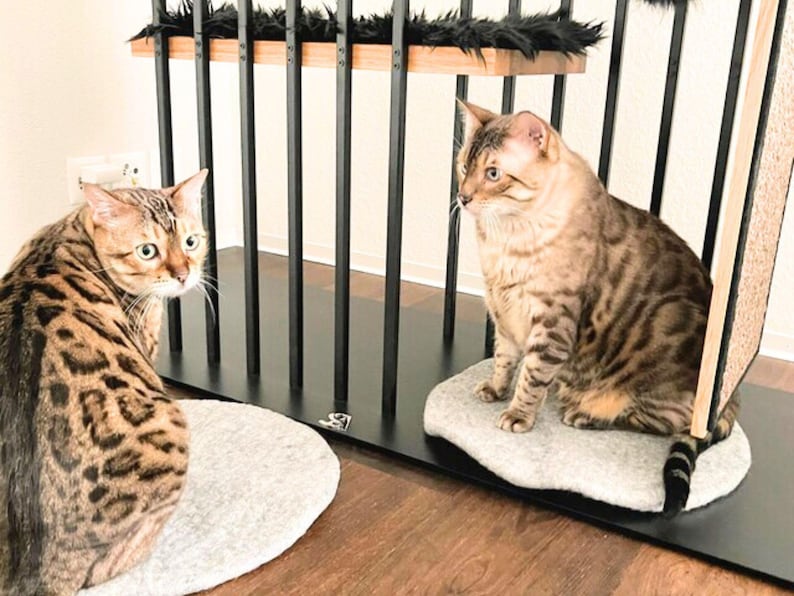 May include: Two brown tabby cats sitting on gray platforms. The cats are looking in different directions. The platforms are attached to a black metal cat tree.