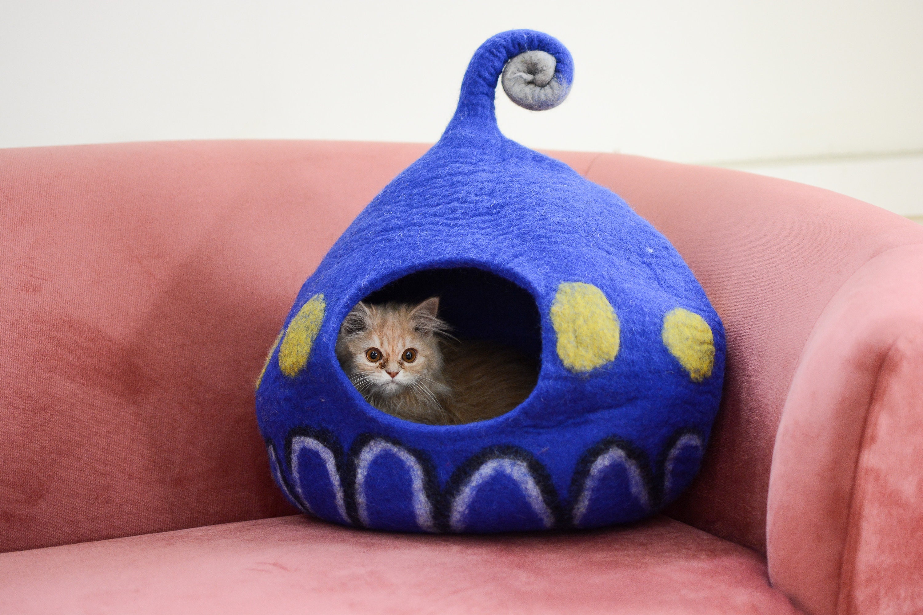 Funky cat beds cheap