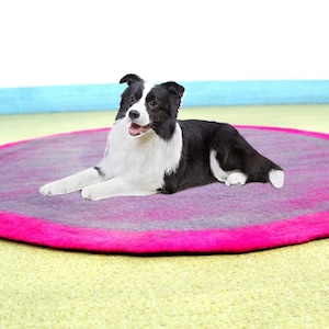 small dog bed