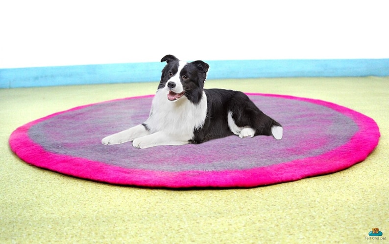 small dog bed