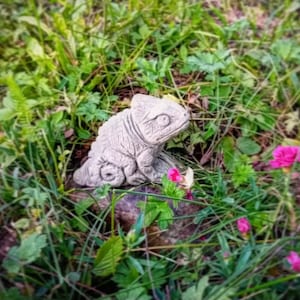 Chameleon lizard stone figure for the garden weatherproof frostproof