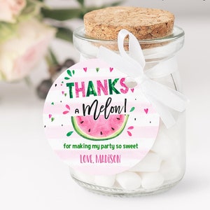 EDITABLE Watermelon favor tags, Thank you tags, Gift Tags, One in a Melon favor Printable Template, GIRL Party favors Instant download WM3