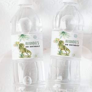 May include: Two clear plastic water bottles with white caps, each with a label that reads "ALEXANDER'S 3RD BIRTHDAY" and features a green dinosaur illustration. The bottles are stacked on a white, decorative tray. The Etsy shop URL is visible.