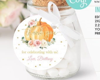 Editable Pumpkin Birthday Favor tags, Pink and gold Little pumpkin Thank you tags Gift tags White pumpkin Theme Digital download Template