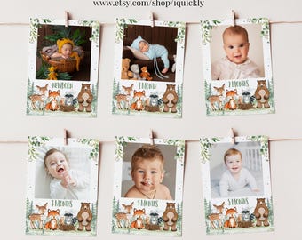 Bearbeitbares monatliches Geburtstagsbanner für Waldtiere Waldtiere Druckbares Foto Banner für das erste Jahr Wild One Digital Download Vorlage