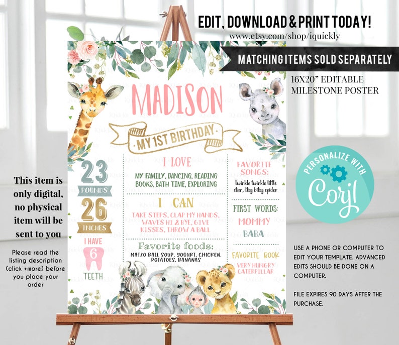 EDITABLE Safari Time Capsule and Matching Note Cards, Jungle Animals 1st Birthday Time Capsule, Wild one First Birthday Instant download image 10
