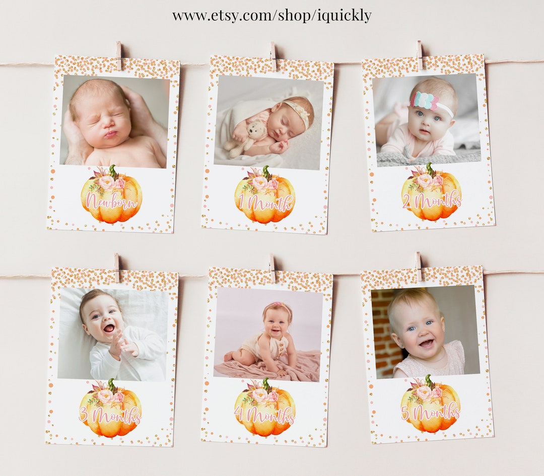 Pumpkin First Birthday Photo Banner - Monthly Milestone Bunting Garland For Girls' Fall Party Decor