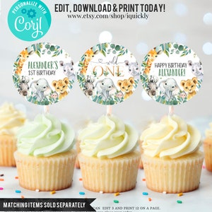 Pu&ograve; includere: Tre topper rotondi per cupcake a tema animali della giungla. I topper raffigurano una giraffa, un elefante, un leone, una zebra e un rinoceronte. Il testo sui topper recita "Alexander's 1st Birthday", "Wild One" e "Buon compleanno Alexander!"