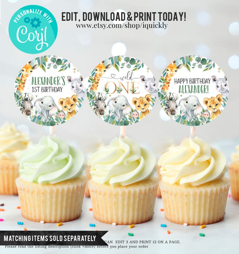 Pu&ograve; includere: Tre topper rotondi per cupcake a tema animali della giungla. I topper raffigurano una giraffa, un elefante, un leone, una zebra e un rinoceronte. Il testo sui topper recita "Alexander's 1st Birthday", "Wild One" e "Buon compleanno Alexander!"