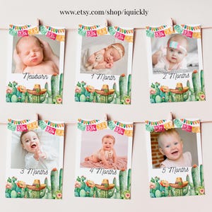 EDITABLE Fiesta Birthday Monthly Banner Three esta Party Mexican Taco Cactus 1st bunting banner Decorations Templates Digital download FIE05