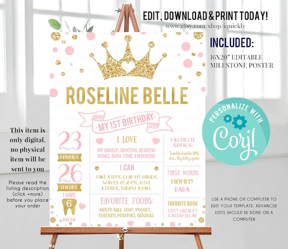 Princess Milestone Birthday Poster Sign, EDITABLE Pink and gold First Birthday Chalkboard, Stats Board First Year Poster Instant download Il_570xn