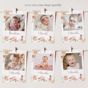 Hada Primer cumpleaños Monltly Photo Banner Editable Wildflower Photo Sign Garden Plantilla imprimible Descarga digital FA101