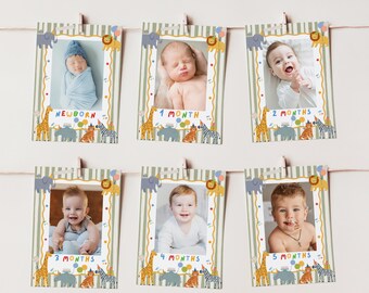 Safari Jungle Photo Monthly Banner, Party Animals Milestone Bunting, Wild One Zoo First Birthday Photo Garland, Editable Canva Template