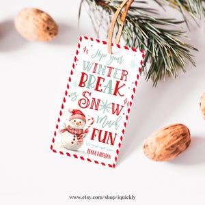 Hope Your Winter Break is Snow Much Fun Gift Tag from Teacher or Student Kids Student Preschool Holiday Christmas Party Favor Tag Printable