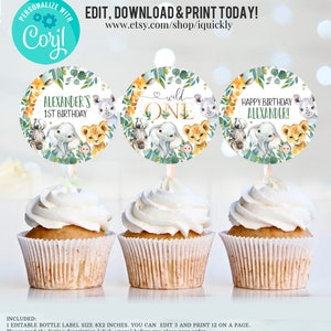 May include: Three cupcake toppers with a jungle animal theme. The toppers feature a giraffe, elephant, lion, zebra, and rhino. The text on the toppers reads "Alexander's 1st Birthday", "Wild One", and "Happy Birthday Alexander!"