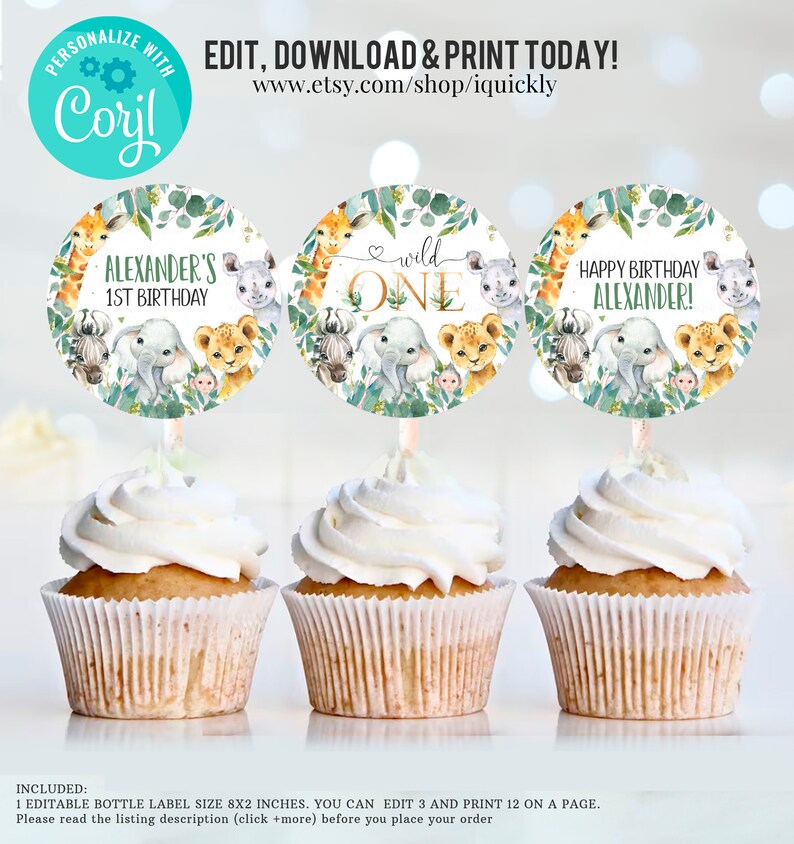 May include: Three cupcake toppers with a jungle animal theme. The toppers feature a giraffe, elephant, lion, zebra, and rhino. The text on the toppers reads "Alexander's 1st Birthday", "Wild One", and "Happy Birthday Alexander!"