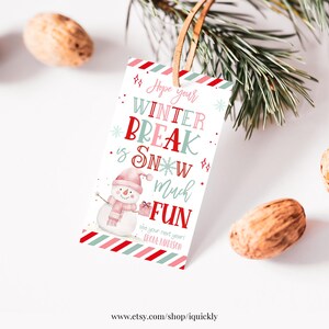 Hope Your Winter Break is Snow Much Fun Gift Tag from Teacher or Student Kids Student Preschool Holiday Christmas Party Favor Tag Printable
