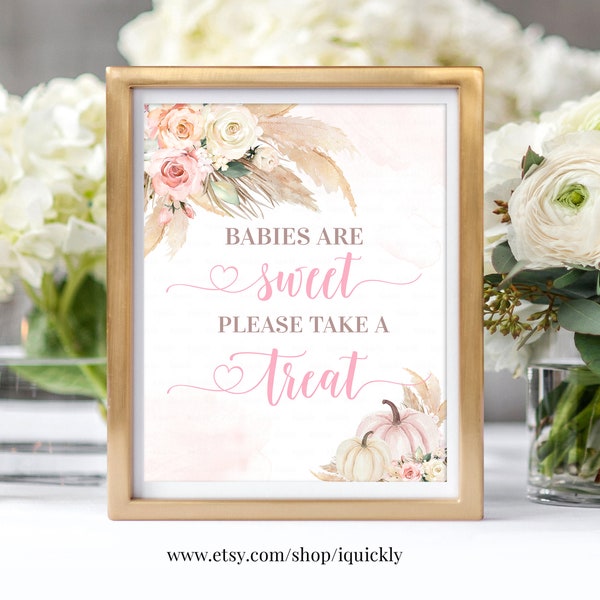 Pumpkin Baby Shower Take A Treat Sign Boho Babies are Sweet Please take a Treat Sign Little Pumpkin Printable Digital Instant Download PB05