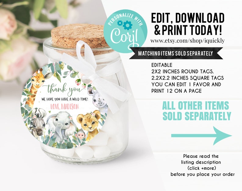 EDITABLE Safari Time Capsule and Matching Note Cards, Jungle Animals 1st Birthday Time Capsule, Wild one First Birthday Instant download image 3