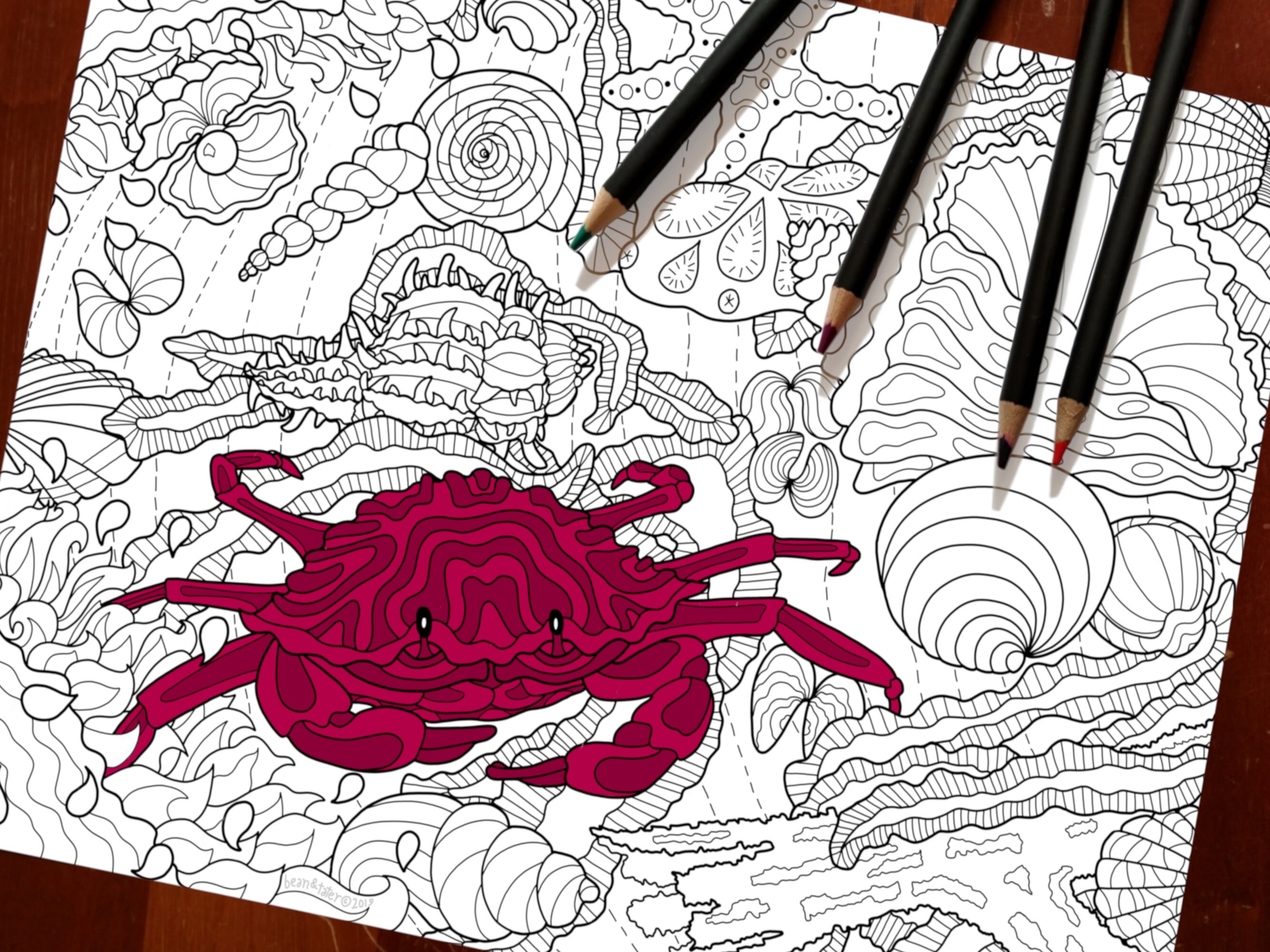 Crab on the Beach downloadable coloring page: instant digital | Etsy