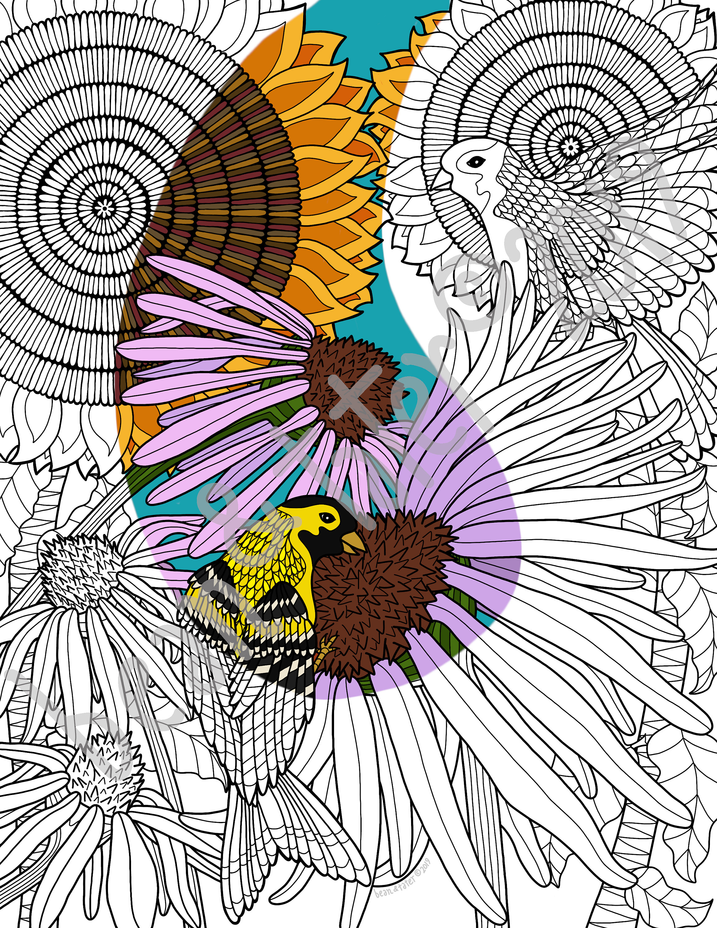 Goldfinch and Sunflowers downloadable coloring page: instant | Etsy