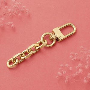 Op de afbeelding: Een goudkleurige metalen sleutelhanger met een reeks gepolijste, in elkaar grijpende ovale schakels verbonden aan een stevige karabijnsluiting. Het beslag heeft een gladde, reflecterende afwerking en een klassiek kettingontwerp.