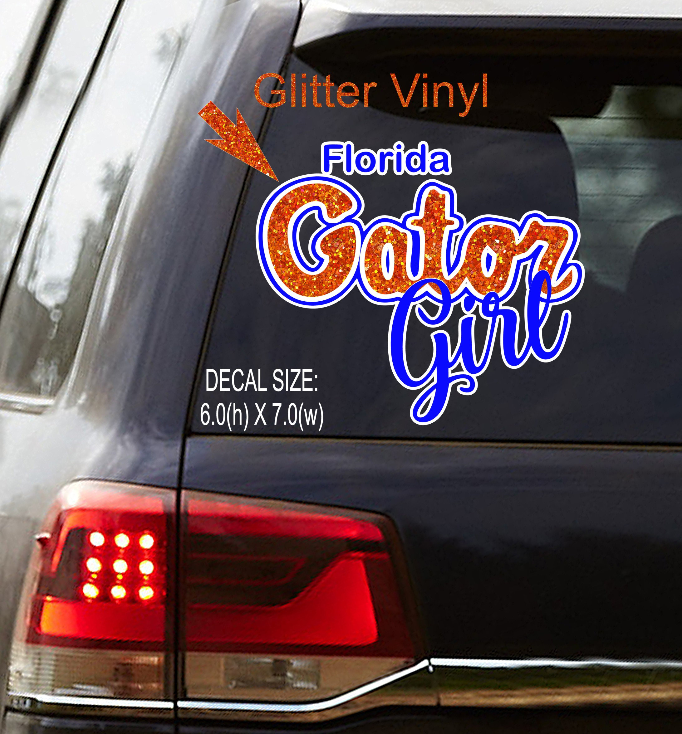 Florida Gators Baby On Board Car Magnet