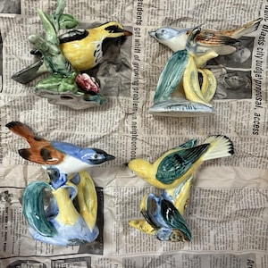Può includere: Quattro statuette di uccelli in ceramica appollaiate su rami. Un uccello è giallo e nero, un altro è blu e marrone, un terzo è blu e bianco e il quarto è giallo e verde. Ogni uccello è raffigurato in una posa naturale con piume dipinte.