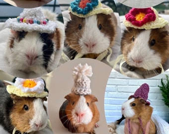 Lot de 10 chapeaux au crochet pour cochons d'Inde et autres petits animaux de compagnie / Petits accessoires faits main pour animaux de compagnie