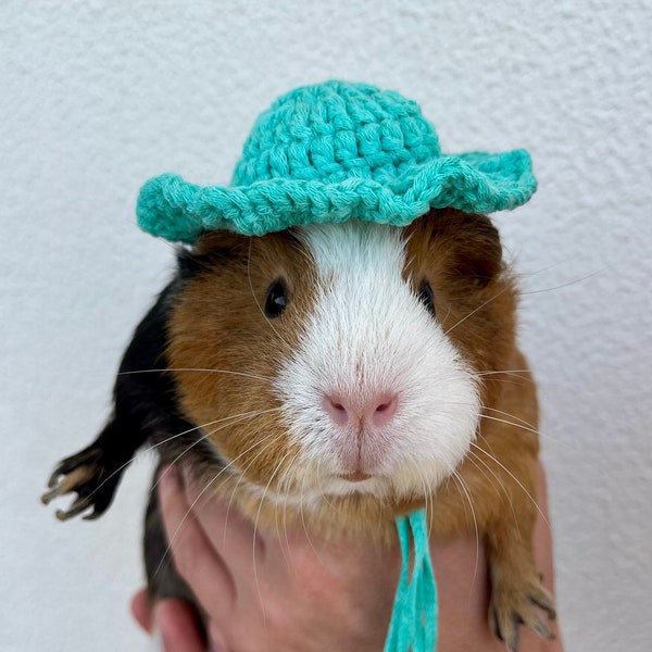 Crochet Panama Hats for Guinea Pigs, Bunnies, Gerbils, Hamsters, Chinchillas, and Other Small Pets / Small Handmade Accessories for Pets