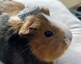 Crochet Hats for Guinea Pigs, Bunnies, Gerbils, Hamsters, Chinchillas, and Other Small Pets / Handmade Accessories for Pets