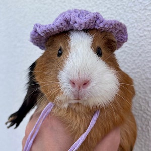 Chapeaux panama au crochet pour cochons d&#39;Inde, lapins, gerbilles, hamsters, chinchillas et autres petits animaux de compagnie / Petits accessoires faits main pour animaux de compagnie