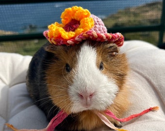 Crochet Panama Hats for Guinea Pigs, Bunnies, Gerbils, Hamsters, Chinchillas, and Other Small Pets / Small Handmade Accessories for Pets