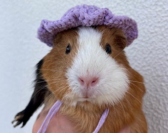 Crochet Panama Hats for Guinea Pigs, Bunnies, Gerbils, Hamsters, Chinchillas, and Other Small Pets / Small Handmade Accessories for Pets