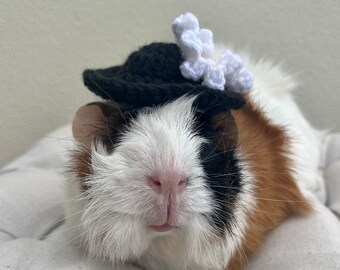 Crochet black hat with brim and white flower for Guinea Pigs and Other Small Pets / Small Handmade Accessories for Pets