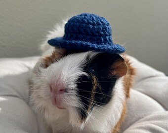 Crochet blue hat with brim for Guinea Pigs and Other Small Pets / Small Handmade Accessories for Pets