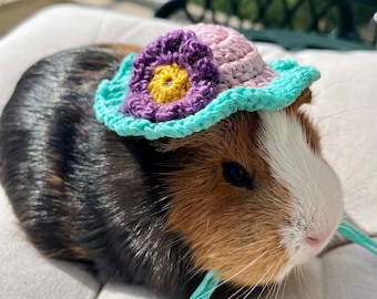 Crochet Panama Hats for Guinea Pigs, Bunnies, Gerbils, Hamsters, Chinchillas, and Other Small Pets / Small Handmade Accessories for Pets