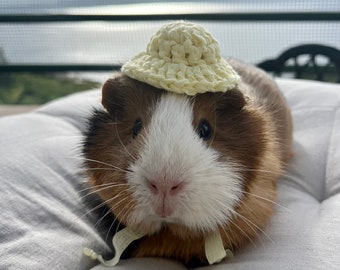 Crochet Panama Yellow Hats for Guinea Pigs, Bunnies, Gerbils, Hamsters, Chinchillas, and Other Small Pets / Handmade Accessories for Pets