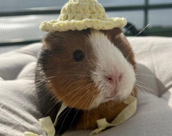 Crochet Panama Hats for Guinea Pigs, Bunnies, Gerbils, Hamsters, Chinchillas, and Other Small Pets / Small Handmade Accessories for Pets