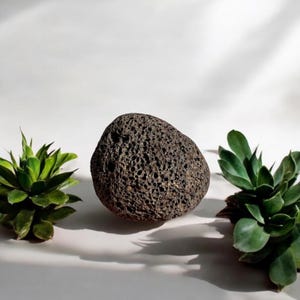 Madeira Volcanic Lava Rock: Natural Basalt Stone Collection