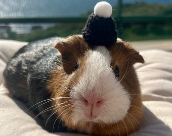 Mini knitted Black Hat Pom Poms, Hat Knit Hat for small pets