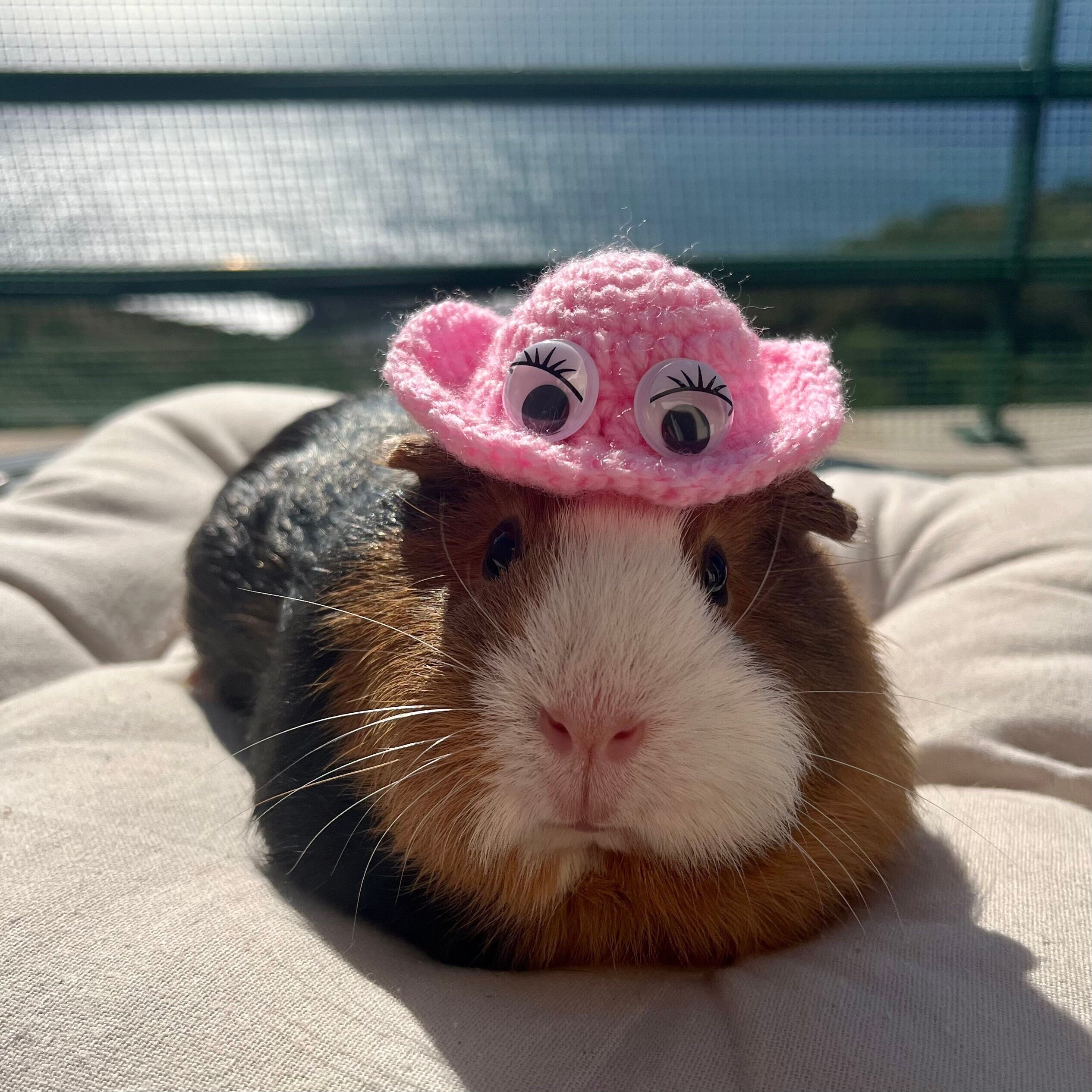 Small pink crocheted hats with eyes for small pets: guinea pigs, rabbits, chinchillas, small dogs and others.