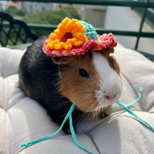 Chapeaux panama au crochet pour cochons d&#39;Inde, lapins, gerbilles, hamsters, chinchillas, chats et autres petits animaux de compagnie / Petits accessoires faits main pour animaux de compagnie