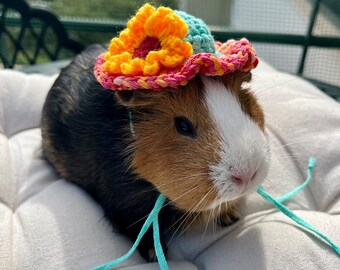 Crochet Panama Hats for Guinea Pigs, Bunnies, Gerbils, Hamsters, Chinchillas, cat and Other Small Pets / Small Handmade Accessories for Pets